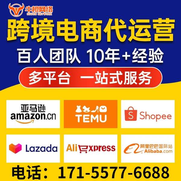 焦作电商代运营