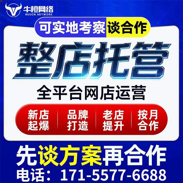 焦作电商代运营