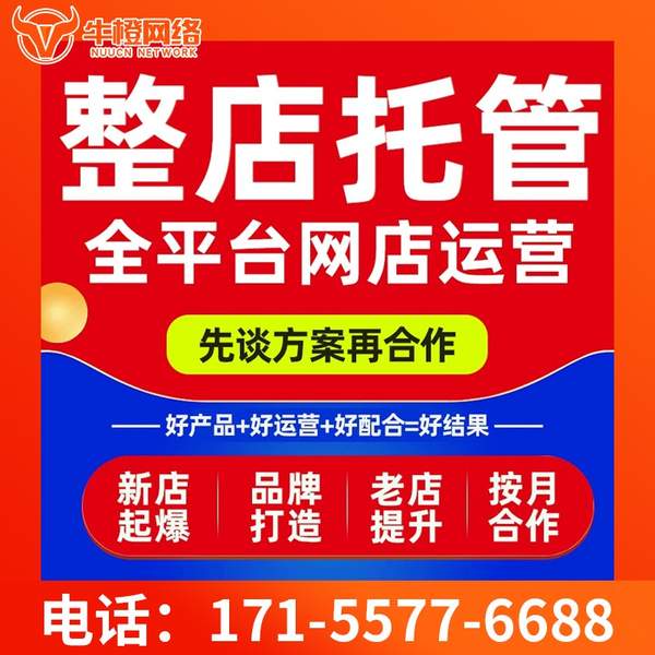 焦作电商代运营