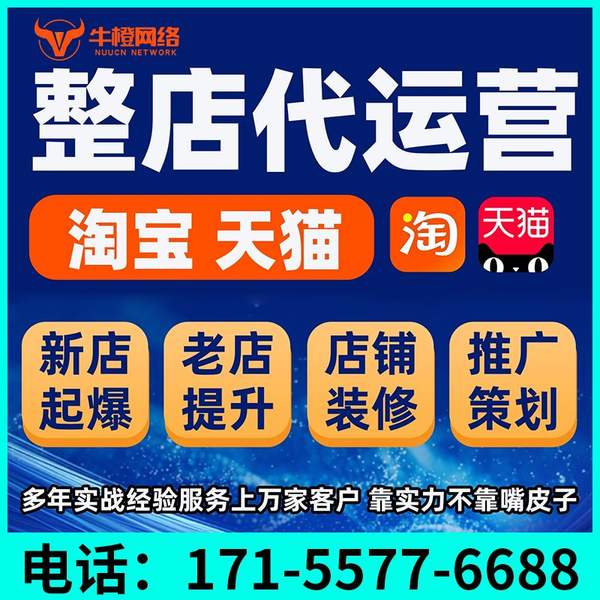 焦作电商代运营